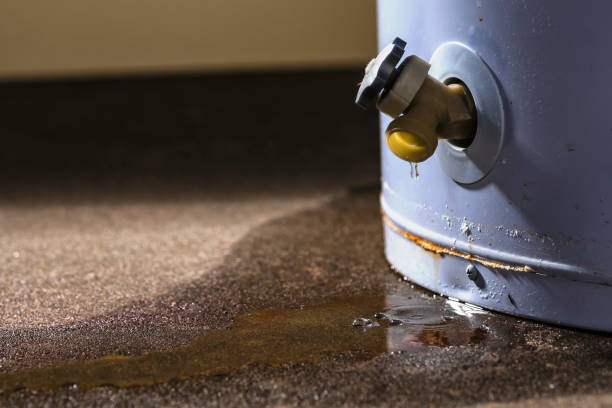 Best Local water damage restoration  in Dunn, NC
