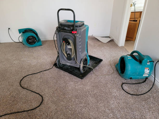 Best Commercial water damage restoration  in Dunn, NC