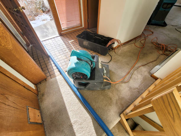 Best Water damage restoration near me  in Dunn, NC