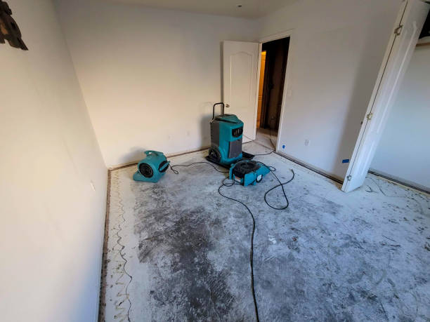 Best Water damage contractors near me  in Dunn, NC