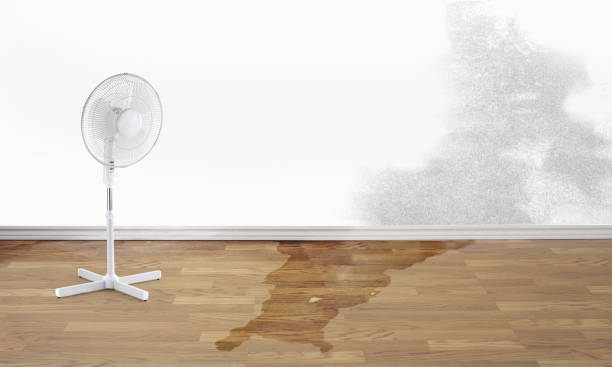 Best Fire Damage Restoration  in Dunn, NC