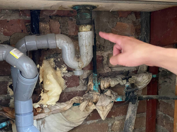 Best Basement water damage restoration  in Dunn, NC