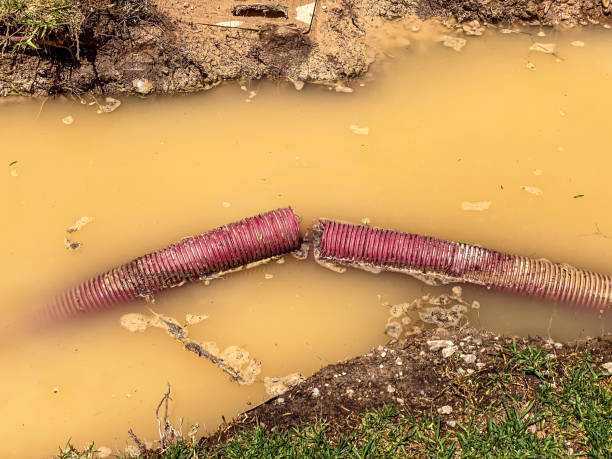 Best 24/7 water damage repair  in Dunn, NC