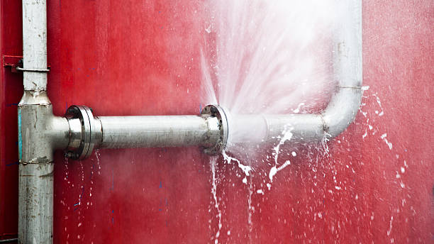 Best Carpet water damage restoration  in Dunn, NC